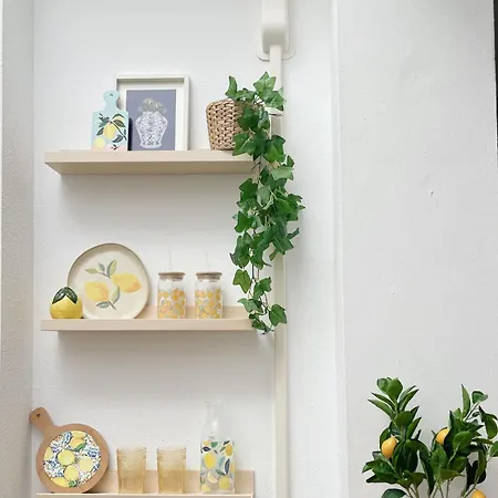 Tatil Evi South Domi *